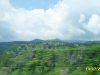 2010-07-13-13-34-14