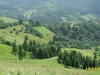 2010-07-13-13-41-00