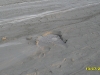 2010-07-13-19-20-58