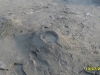 2010-07-13-19-21-37