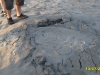 2010-07-13-19-21-59