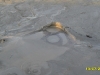 2010-07-13-19-22-10