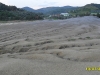2010-07-13-19-35-58