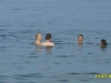 2010-07-14-16-33-52