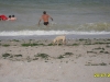 2010-07-20-15-55-34