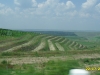 2010-07-22-12-20-27