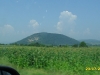 2010-07-23-11-44-28
