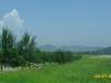 2010-07-23-11-46-00