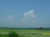 2010-07-23-11-47-30