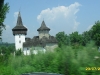 2010-07-23-11-56-19